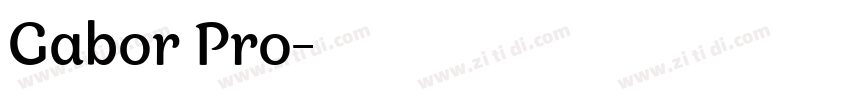 Gabor Pro字体转换